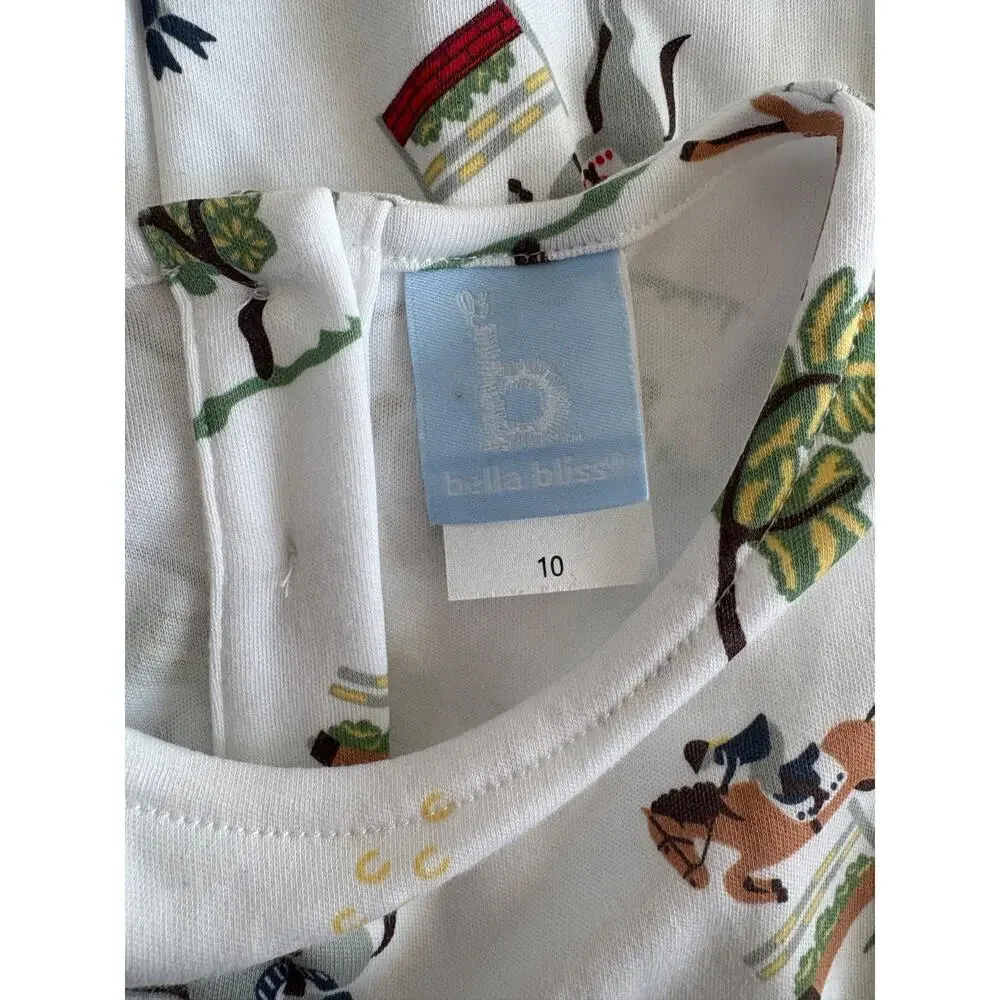 Bella Bliss Girls size 10 cotton long sleeve horse equestrian print dress Ruffle